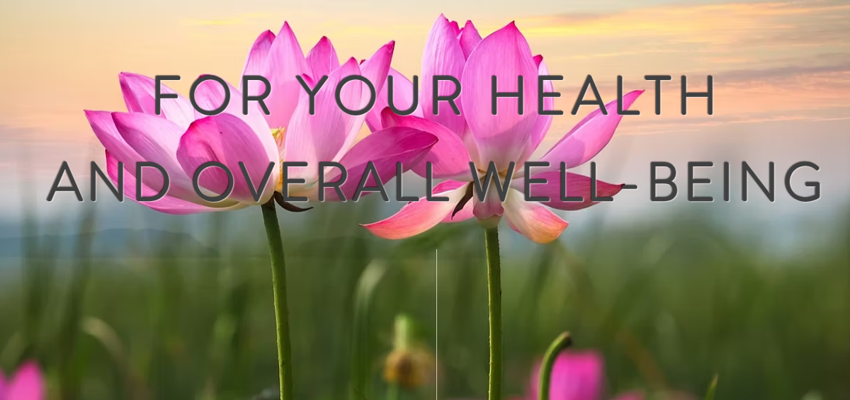 VG025 Lotus Wellness acupuncture for health